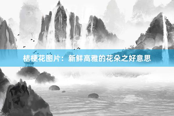 桔梗花图片：新鲜高雅的花朵之好意思