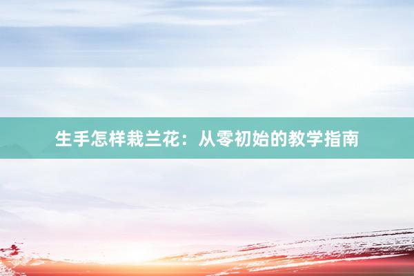 生手怎样栽兰花：从零初始的教学指南