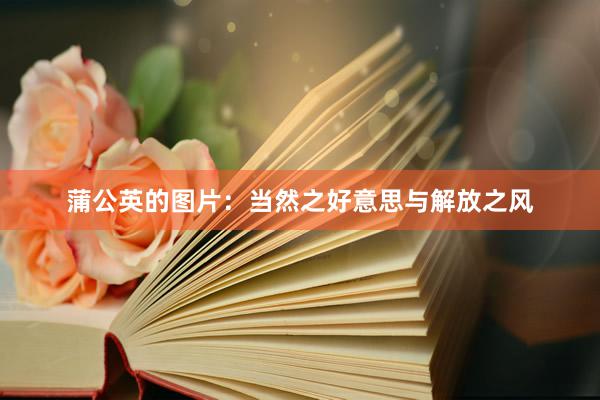 蒲公英的图片：当然之好意思与解放之风