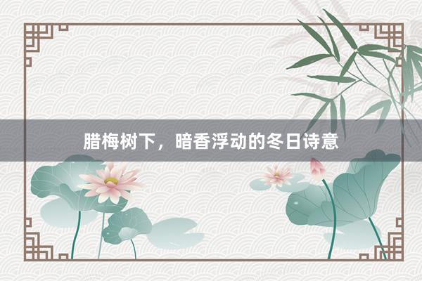 腊梅树下，暗香浮动的冬日诗意